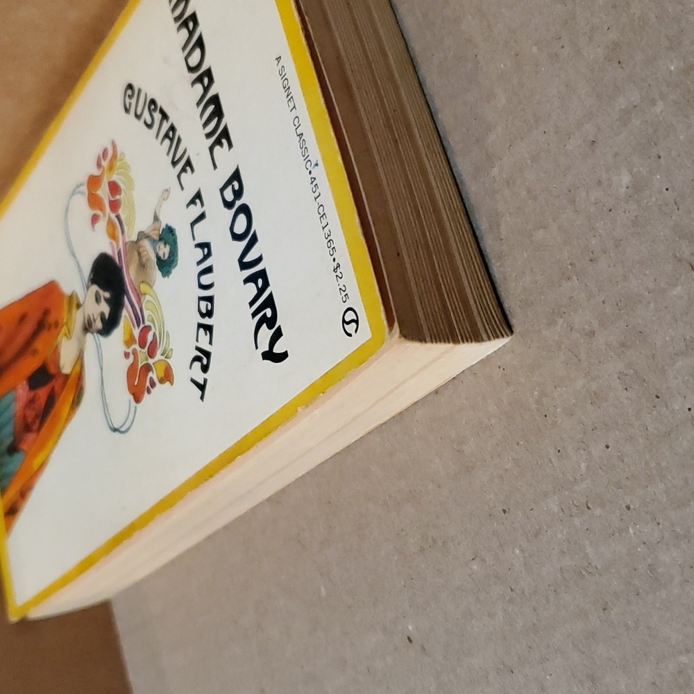 🇫🇷 Madame Bovary Gustave Flaubert paperback book - Picture 10 of 11